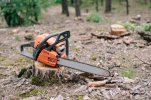 electric sharp orange chainsaw on wood stump in f 2022 12 16 18 14 06 utc